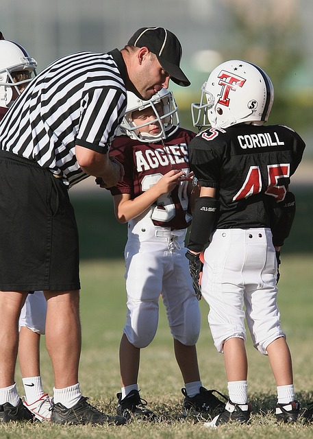 埃里克森的 埃里克森的