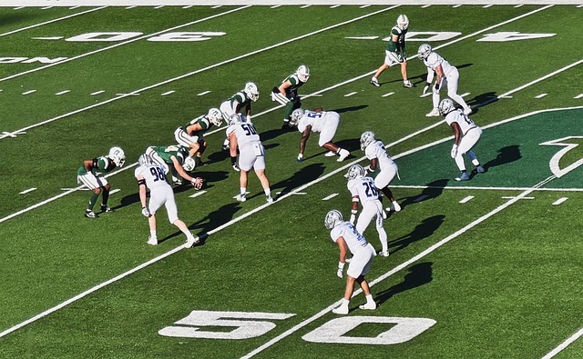 无疑为未来 无疑为未来