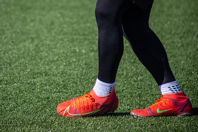 会和世界大 会和世界大