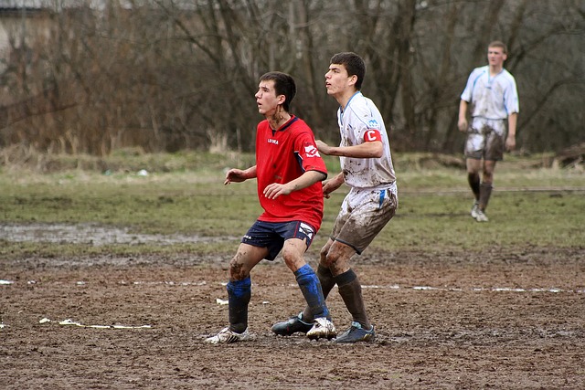 努力的成果 努力的成果